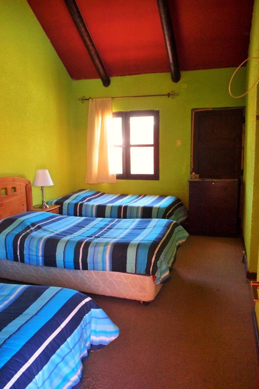 Pachamama Hostel & Tour プトレ エクステリア 写真